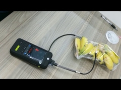 Portable Pumping Type C2H4 Ethylene Gas Analyzer For Ripening