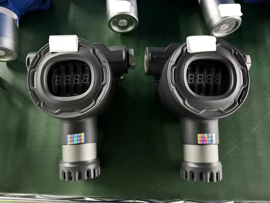 SAFEGAS Fixed Hydrogen Gas Detector Alarm Function IECEX Explosion Proof 0-2000ppm Detect Hydrogen Leaks