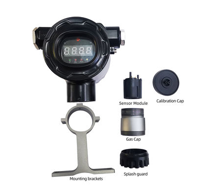 Safegas Wall Mounted Single Gas Detector with IECEX Certification IP66/IP68 Protection and Wireless LORA or 4G